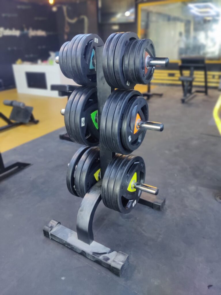 Weight plate stand