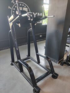 Vertical knee raise