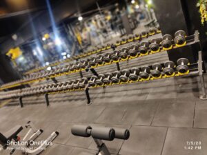 2 tier dumbell rack