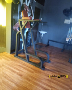 Vertical knee raise
