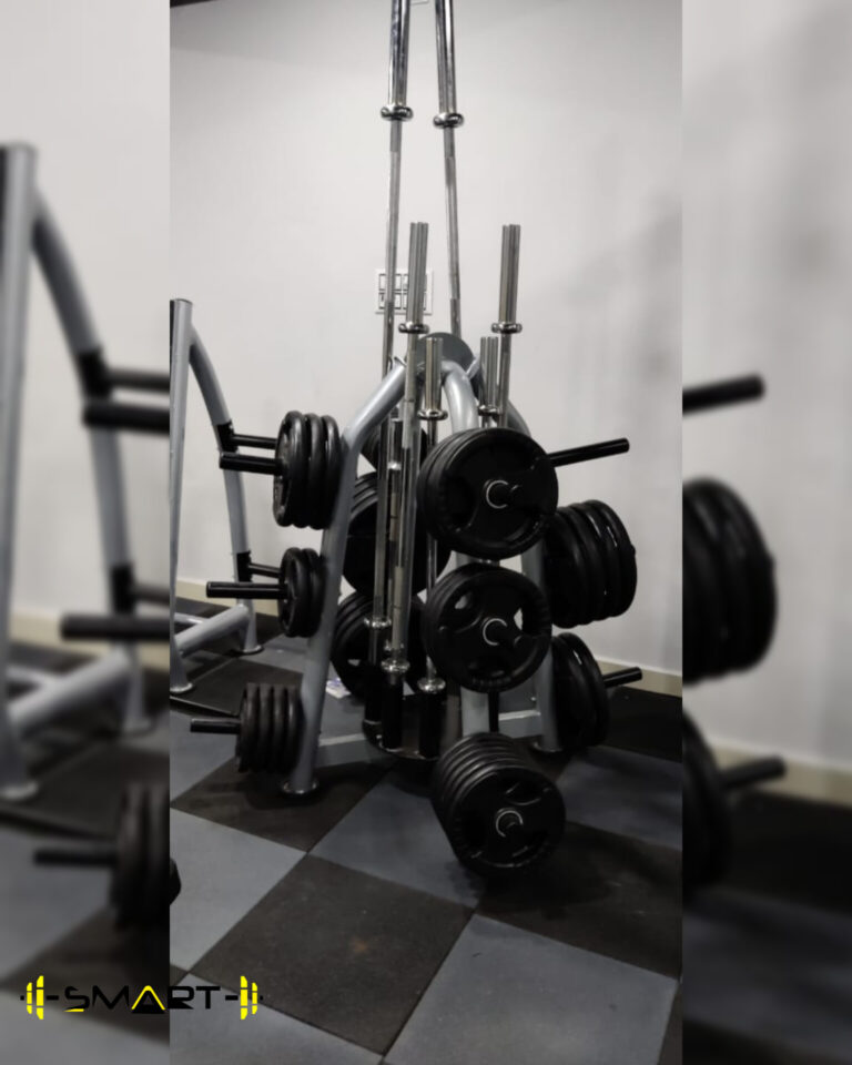 Weight plate stand